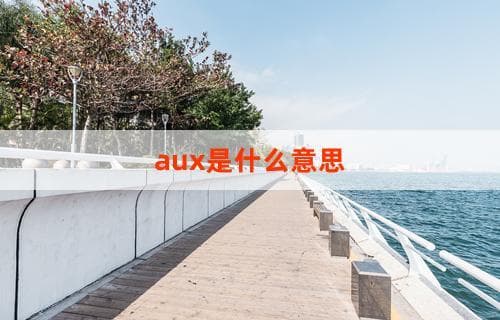 aux是什么意思及其应用领域