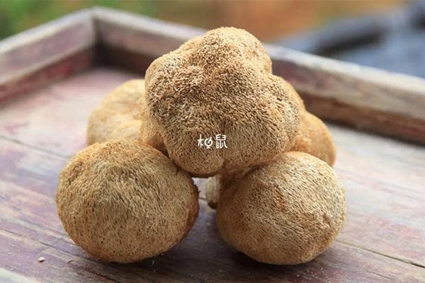 猴头菇食用禁忌人群
