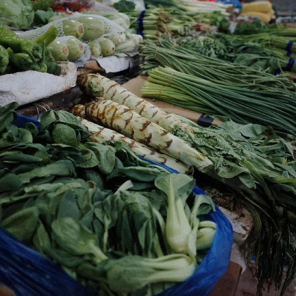 大锅菜蒜泥白肉怎么做