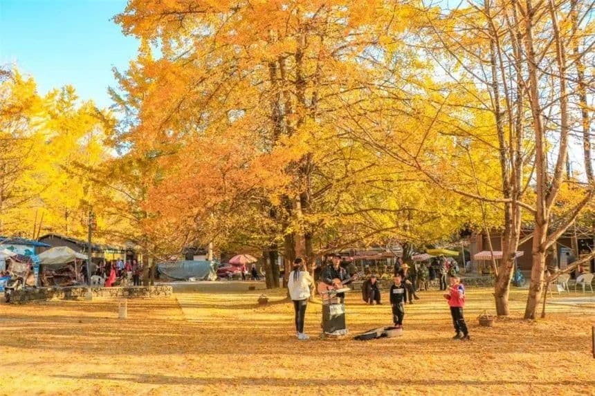 腾冲：一个让人流连忘返的旅居胜地