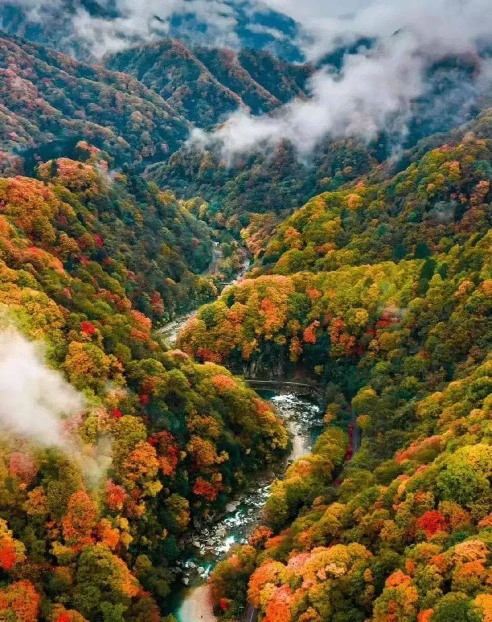 人间有味 自在乡村｜西安出发1h，开启一段“山水秦岭 秘境风味”之旅！