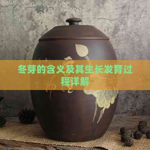 冬芽的含义及其生长发育过程详解