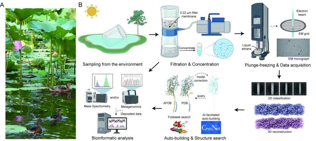PNAS | 颜宁团队利用冷冻电镜技术探索结构生物学研究新范式