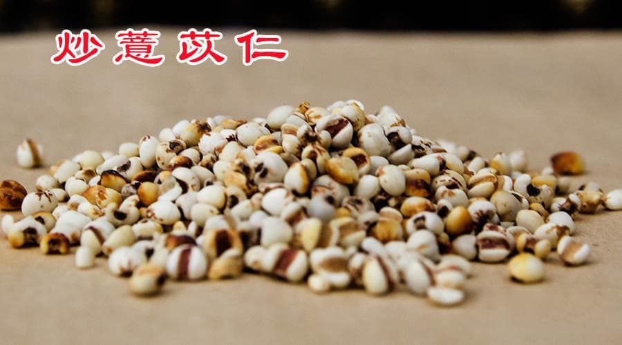 每日一味学中药——炒薏苡仁