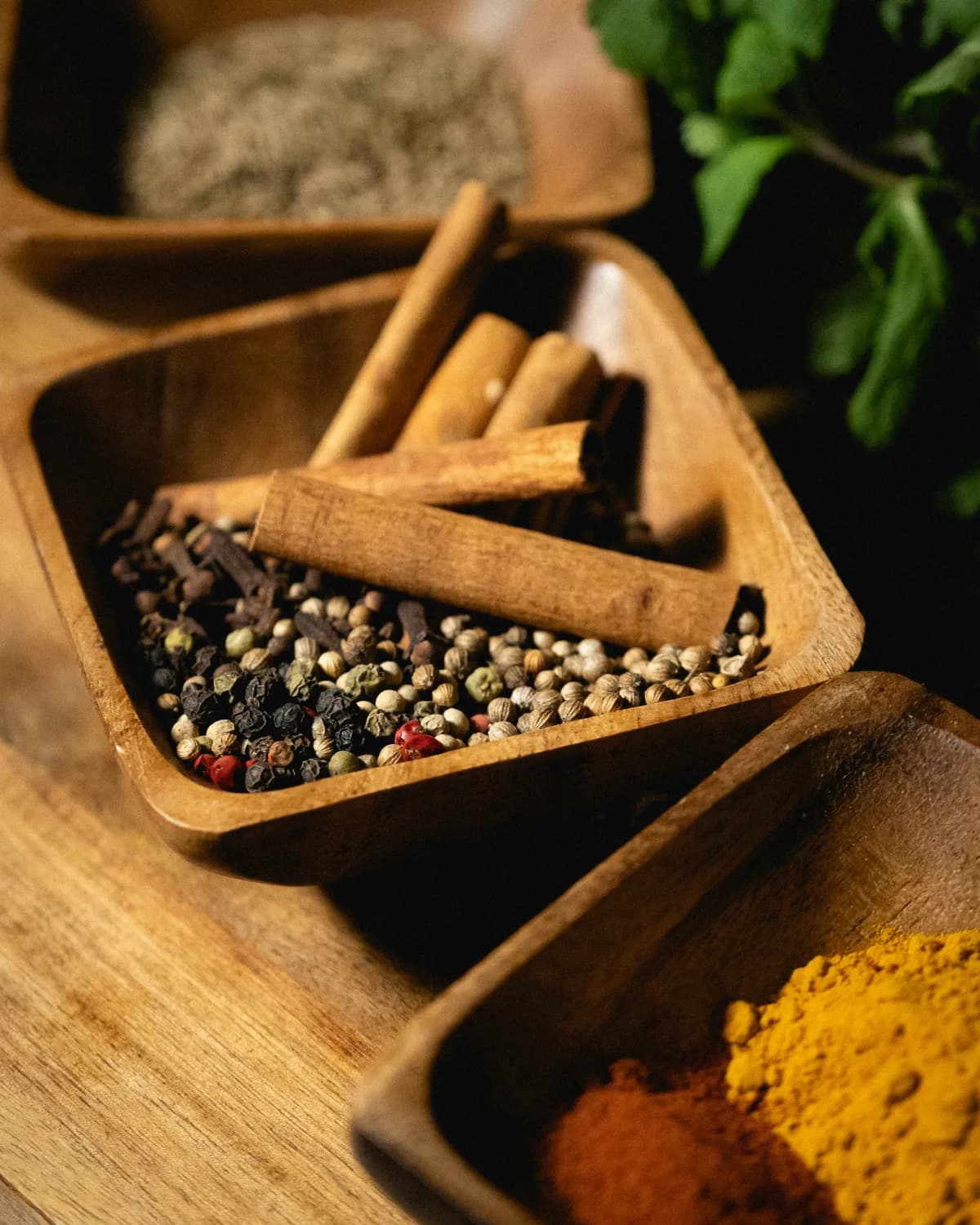 桂枝护心：心血管健康的传统智慧