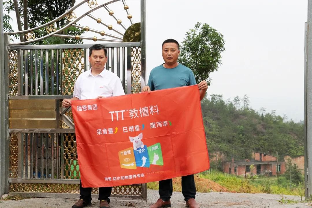 深山里的养猪人：防控做的好，养猪有奔头