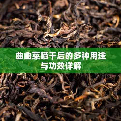 曲曲菜晒干后的多种用途与功效详解