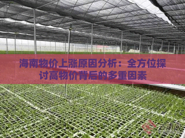 海南物价上涨原因分析：全方位探讨高物价背后的多重因素