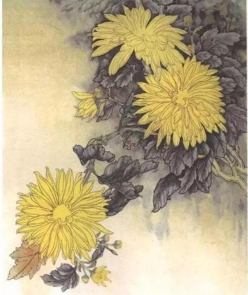陶渊明为什么独爱菊花？