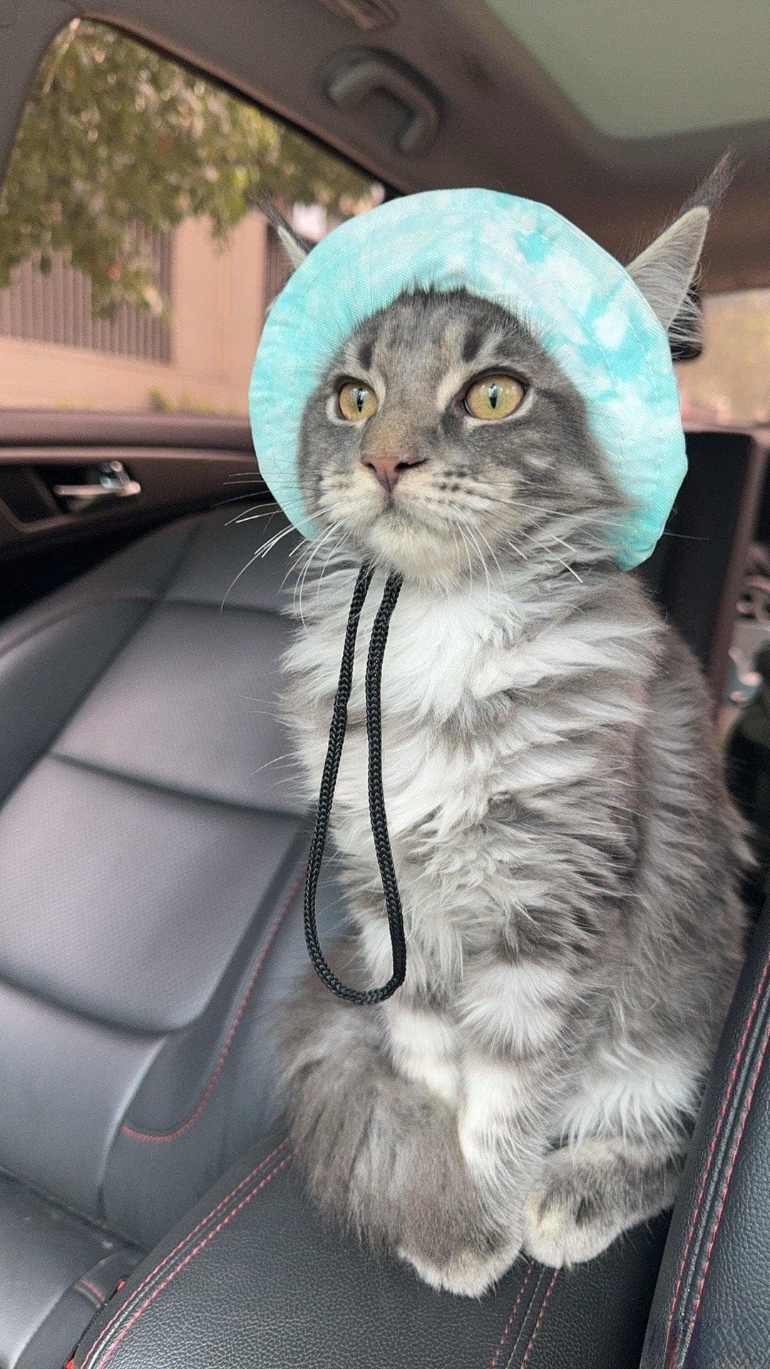5k+里程的小猫来分享，自驾长途出行的好物清单