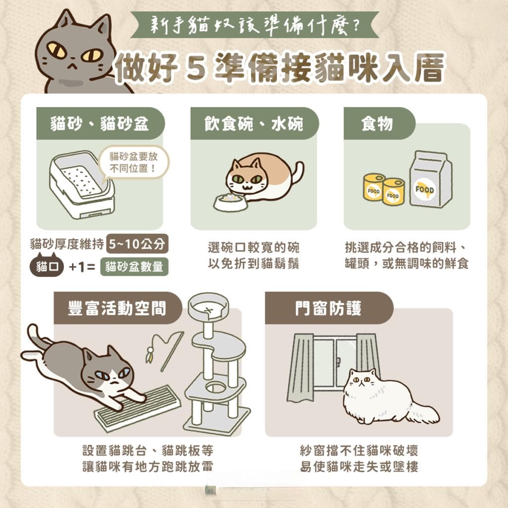 第一次养猫要准备哪些东西？ 接它们回家前先准备好5种用品