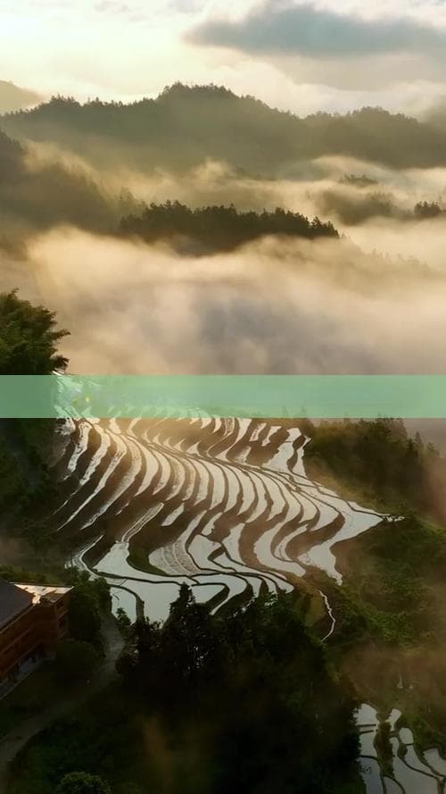 贵阳到抚仙湖自驾路线：详细攻略与更优行驶指南