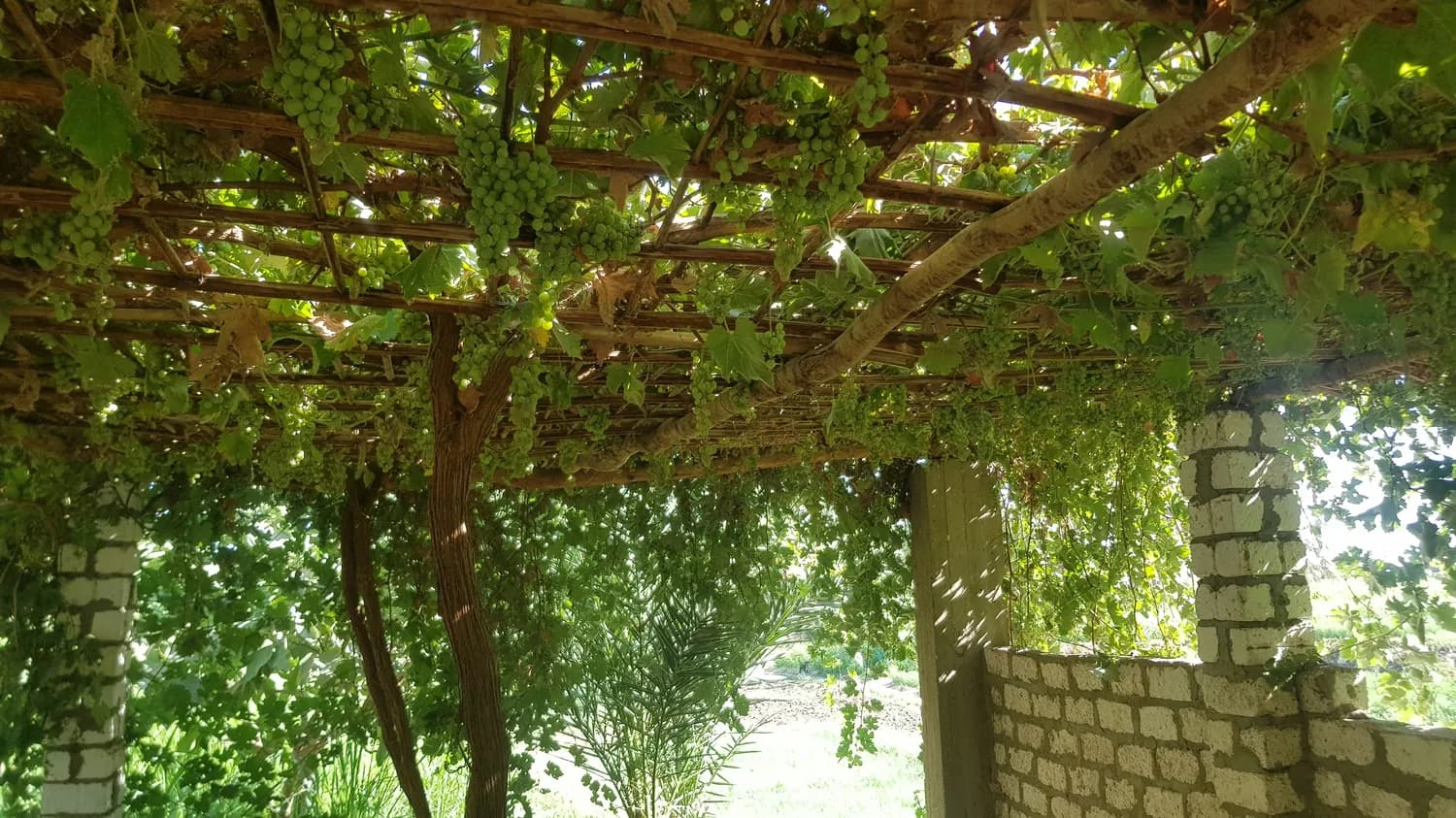 乌鲁木齐至兰州自驾游必打卡景点全攻略