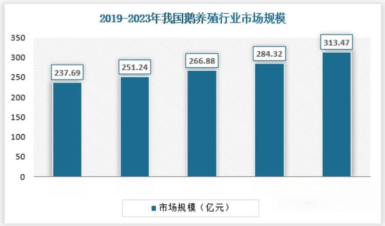 中国鹅养殖行业发展趋势分析与投资前景调研报告（2024-2031年）