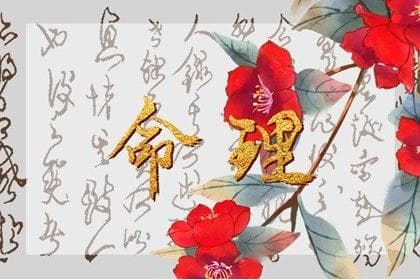 胡萝卜的寓意：吉祥、健康与好运