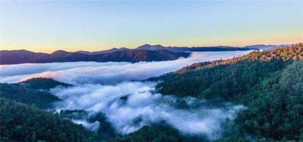 中国十大最美森林之西双版纳热带雨林