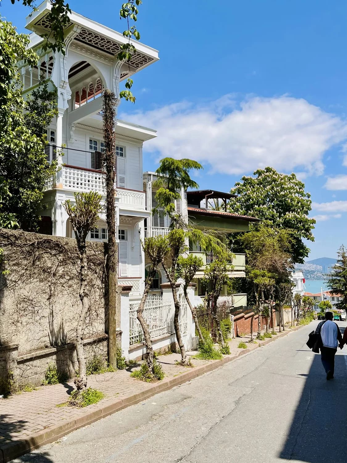 洱海生态廊道：大理白族文化的诗意长廊