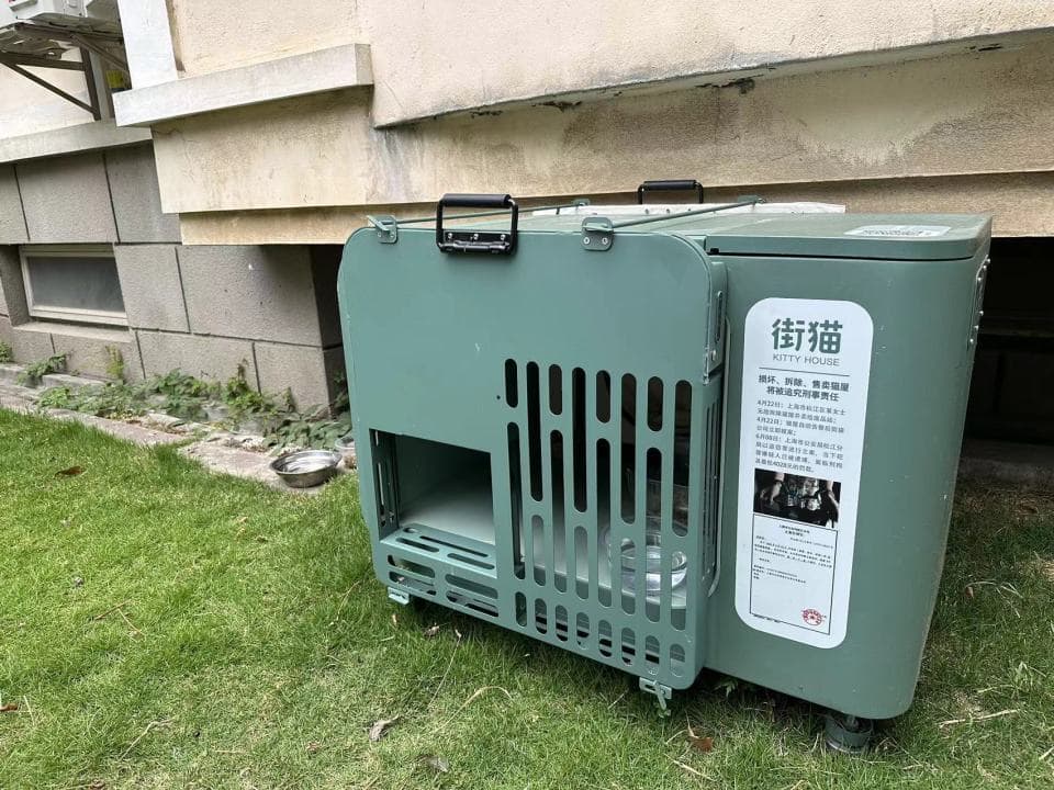 小区流浪猫治理难题如何破？智能猫屋或成解题新思路