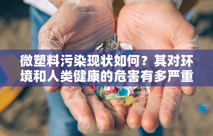 微塑料污染现状如何？其对环境和人类健康的危害有多严重？