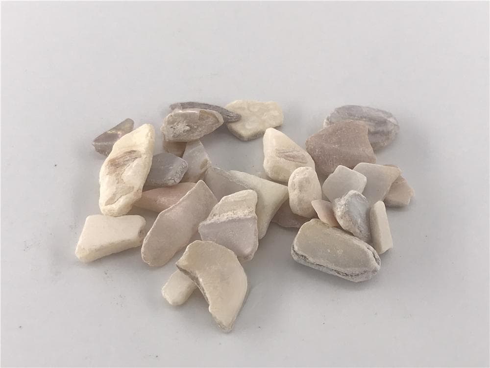 珍珠母的功效与作用
