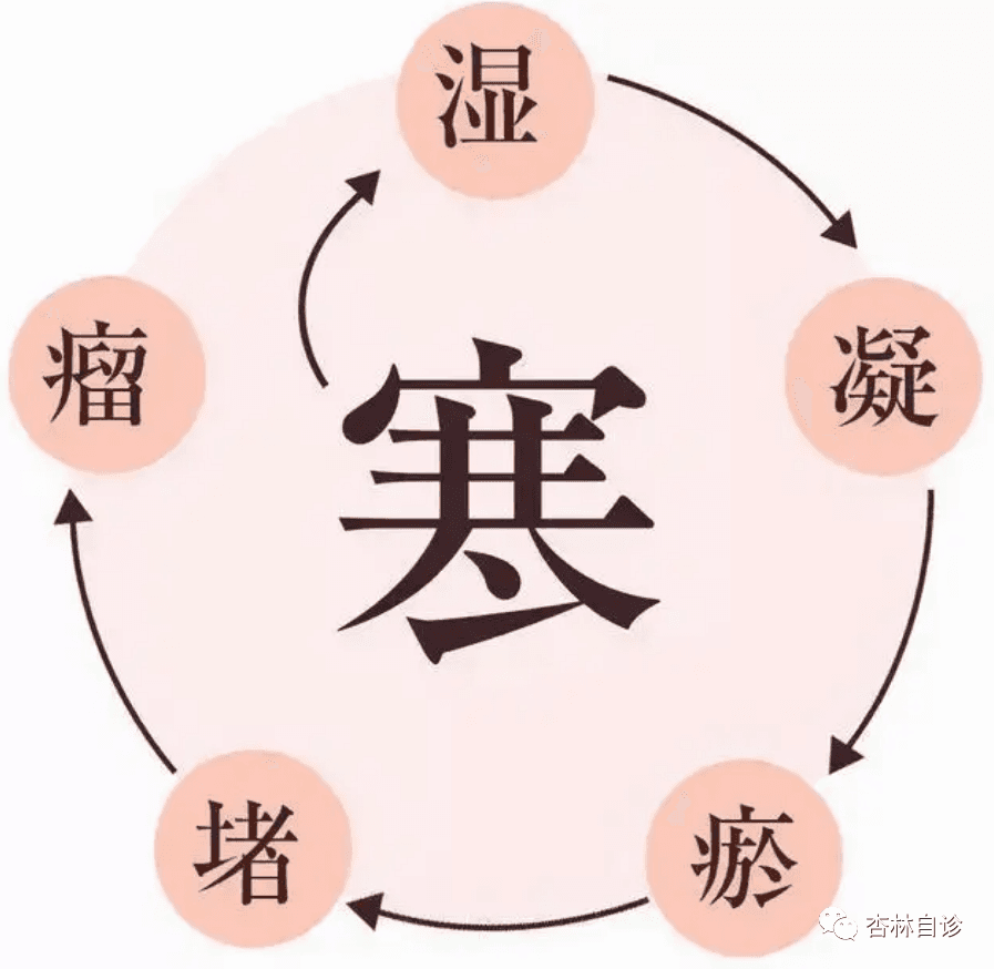 泄泻：寒湿内盛证的辨证论治