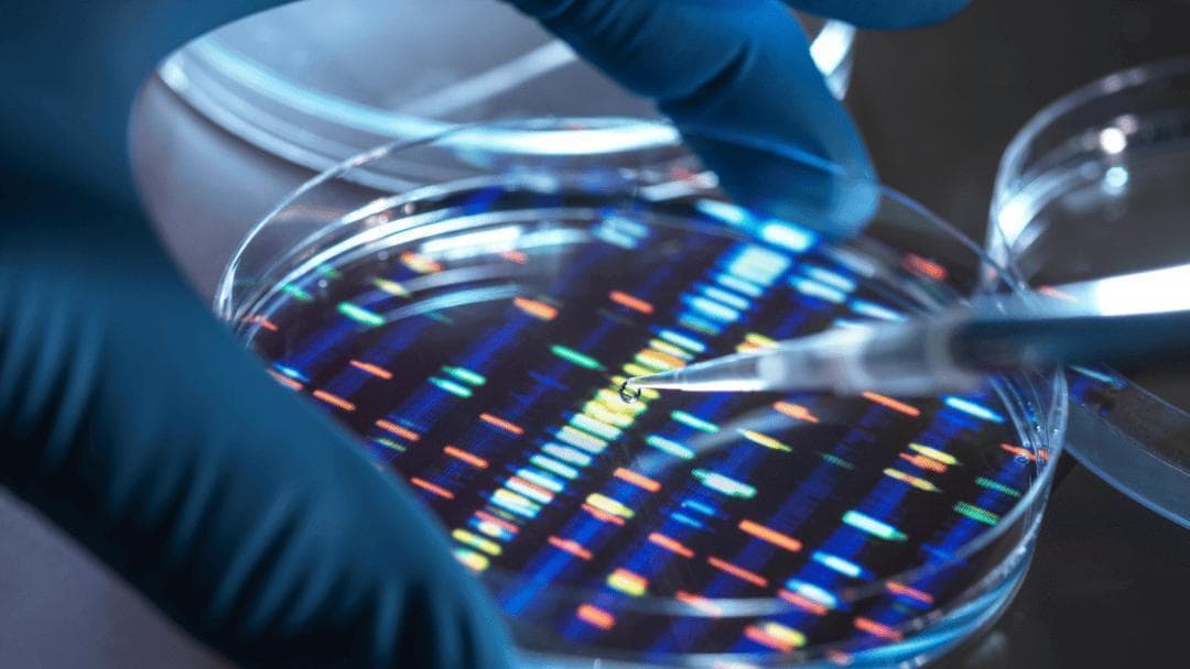 世界军事强国国防生物科技规划及对中国启示