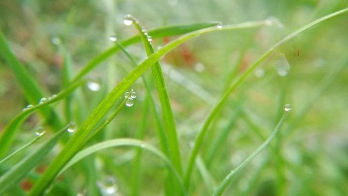 徐俪成丨雨水：生命萌动的时节，蕴含无限潜能