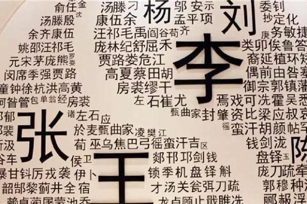 深入了解韩国常见姓氏及其文化背景