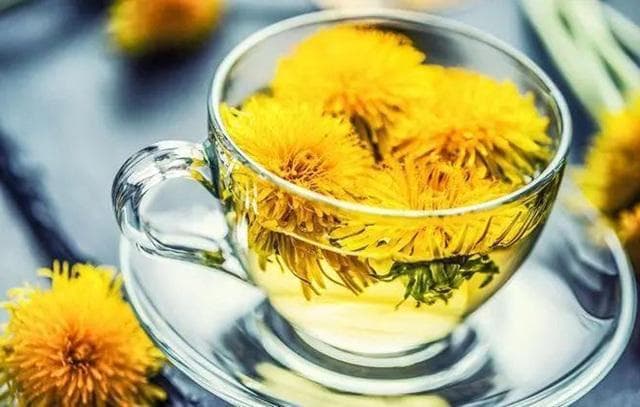 《黄帝内经》：春天怎么用菊花养生？解锁春季养生的菊科密码