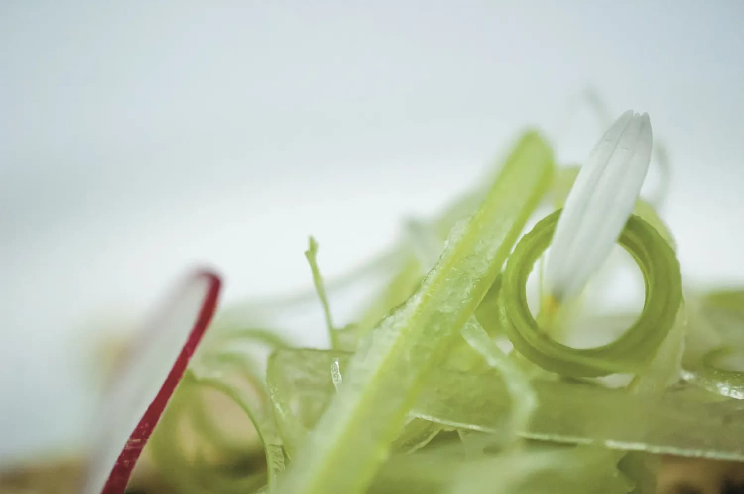 凉拌芹菜：一道养生界的网红美食