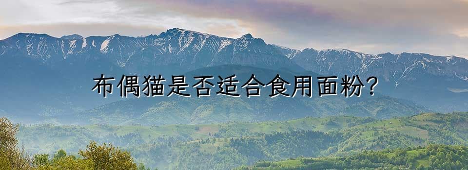布偶猫是否适合食用面粉？