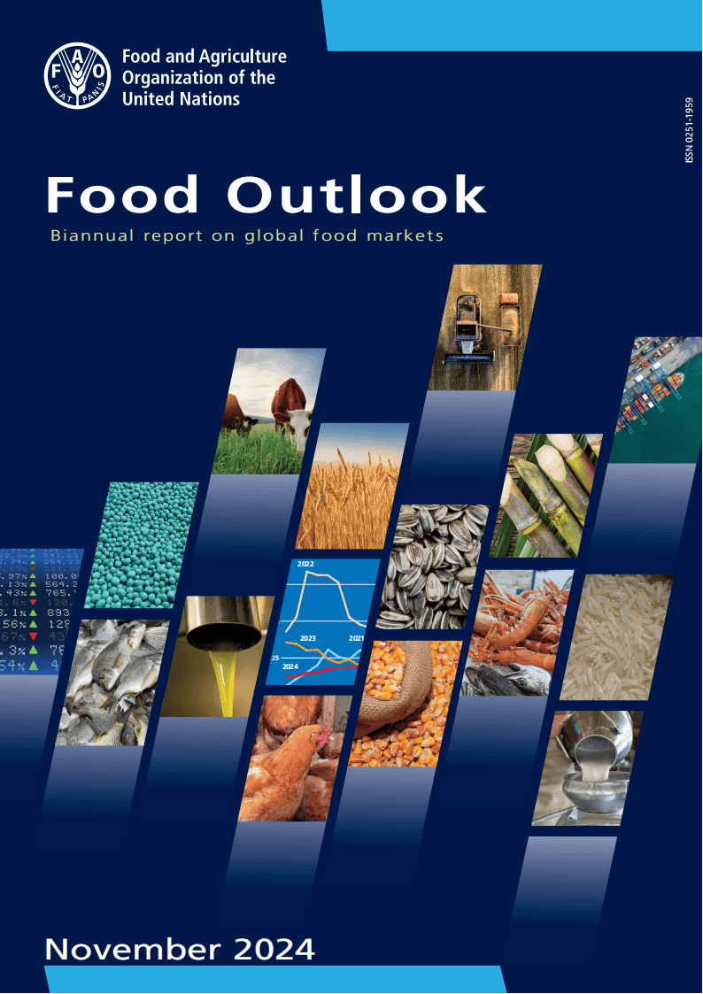 联合国粮农组织发布《2024年粮食展望》：全球粮食市场最新趋势与挑战