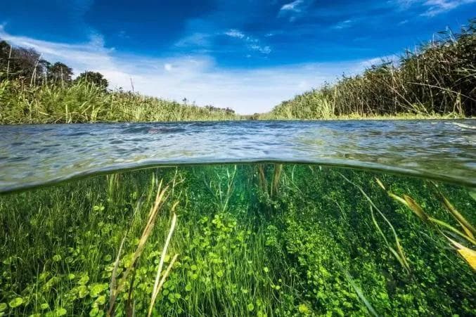 溺水急救流程及急救误区