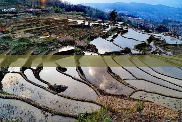 全面解答：当前是否可以返回海南？相关政策与常见问题汇总