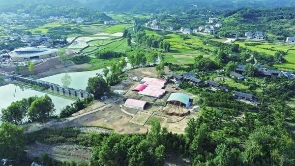 《湖湘一万年》第二集《凤起沅湘》播出——中国史前第一次艺术浪潮，始于湖湘大地