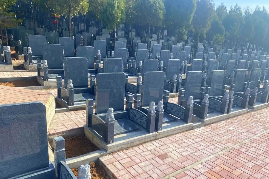 祖坟墓地惊现老鼠洞：如何化解？背后寓意何在？