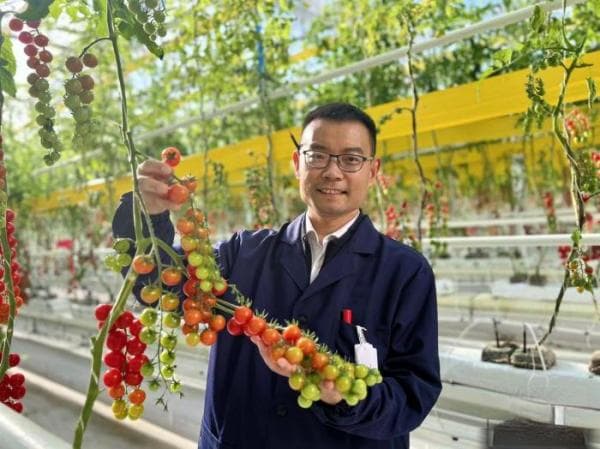 中科院团队研发环境智能育种技术，实现作物“顺境增产逆境稳产”