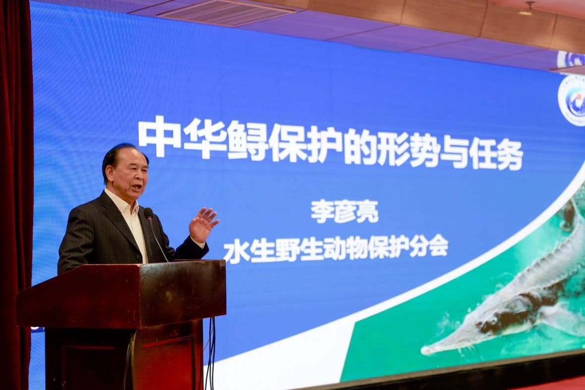 李彦亮：中华鲟保护科普要从长江走向海洋
