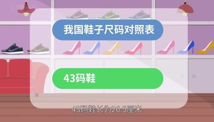 43码的鞋是多少厘米？一文读懂鞋码换算