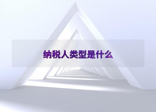 纳税人类型是什么