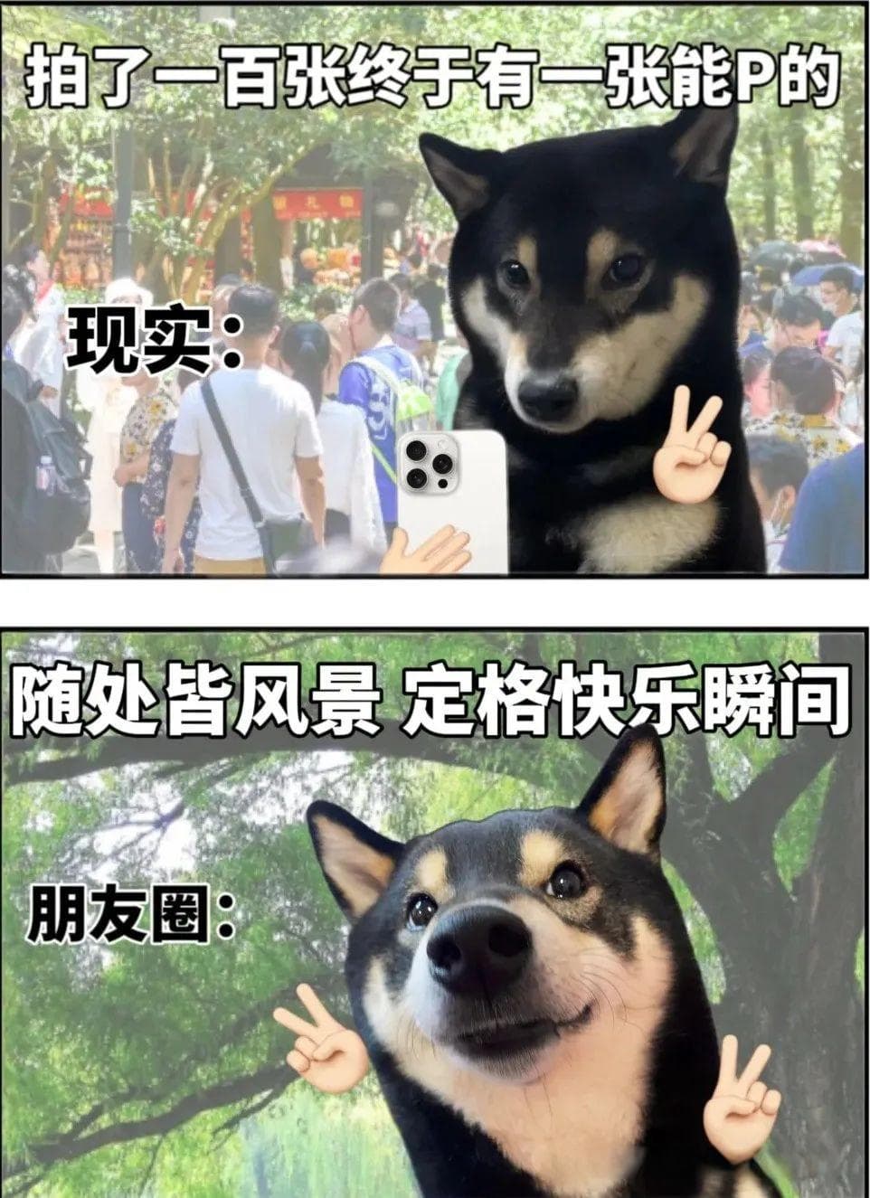夏莹：精装朋友圈vs毛坯人生，如何破局？