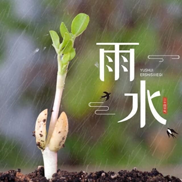 2025年是涝是旱？雨水节气早看天，18号雨水，了解一下，告诉家人