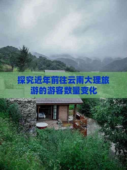 探究近年前往云南大理旅游的游客数量变化