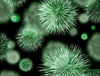 微生物生长曲线的概念、阶段、特点及应用