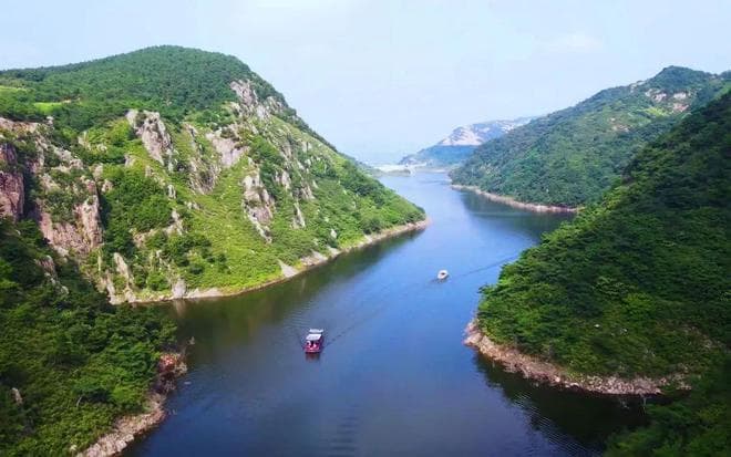 贵州百里杜鹃：最佳赏花季与深度文旅探索！