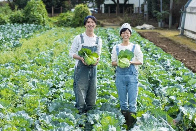 日本农民的年收入是多少？中国人可以去日本开农场吗？