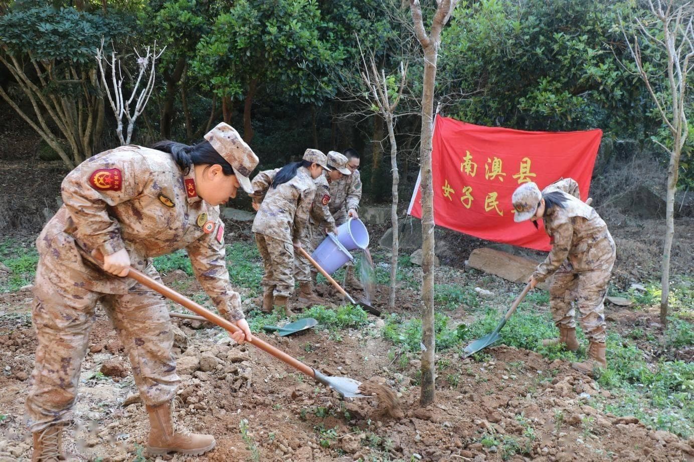 “国防绿”守护“生态绿”，南澳岛民兵开展植树活动