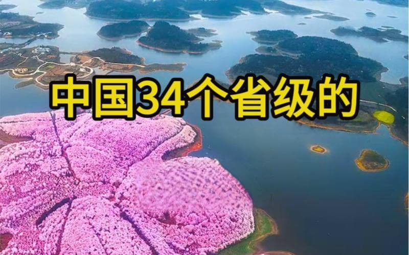 哪些字代表花？汉字里的花卉世界