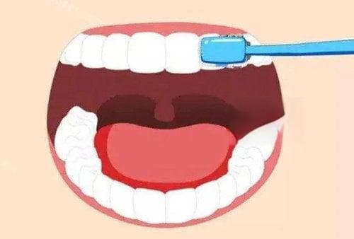 洗牙要多长时间？费用多少？洗牙过程、治疗时间、价格、注意事项全解读！
