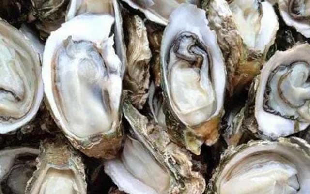 生蚝怎么开壳清洗？一文详解生蚝处理与保存方法